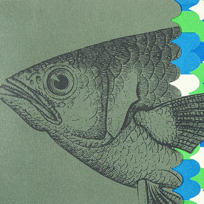 The Fish Brochure — One-Man’s-Fish